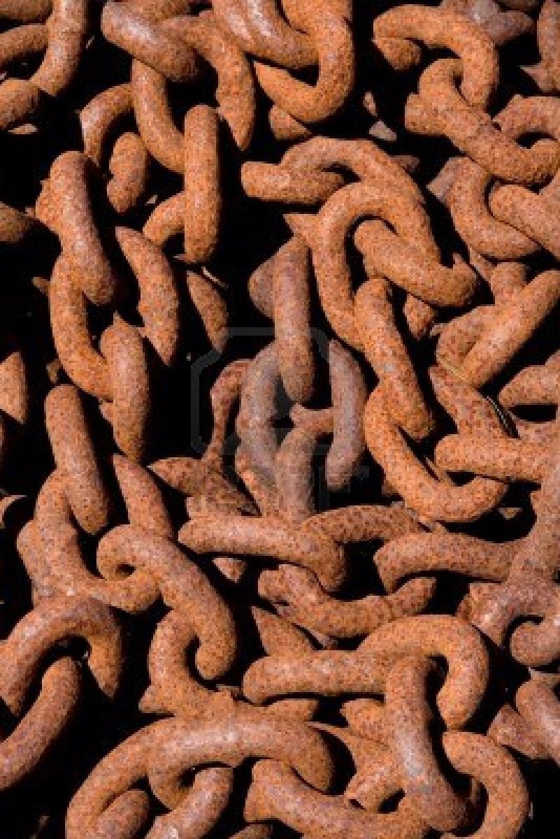 Day 11: We still have a&nbsp;dream