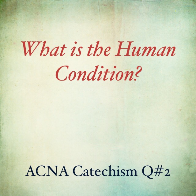 What is the human&nbsp;condition?