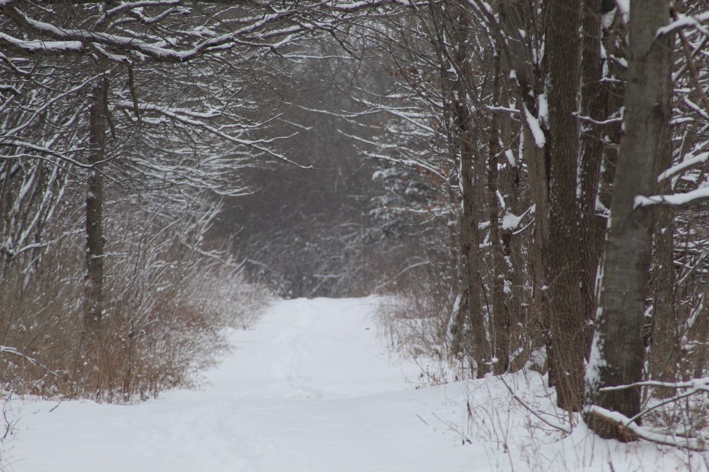 Not Too Cold for&nbsp;GOD