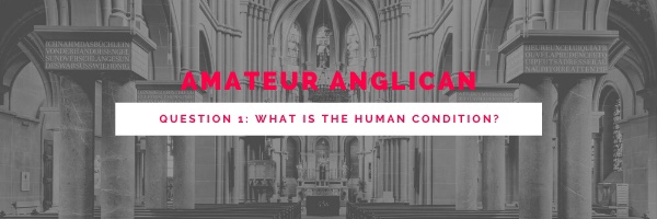 Question 1: What is the Human&nbsp;Condition?