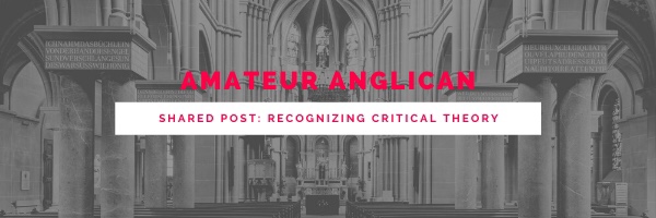 Shared Post: Recognizing Critical Theory, by Father Matt&nbsp;Kennedy