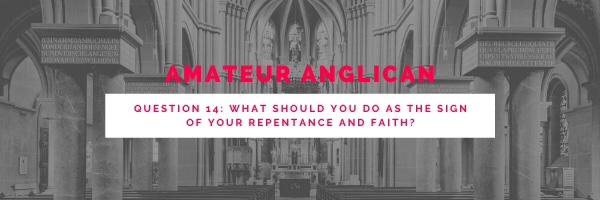 E16: Q14: What should you do as the sign of your repentance and&nbsp;faith?