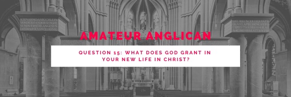 E17: Q15: What does GOD grant in your new life in Christ?