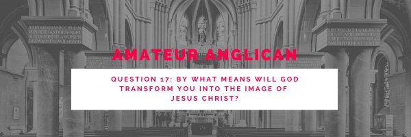 E19: Q17: By what means will God transform you into the image of Jesus Christ?