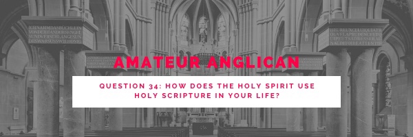 E28 Q34 How does the Holy Spirit use Holy Scripture in your life?