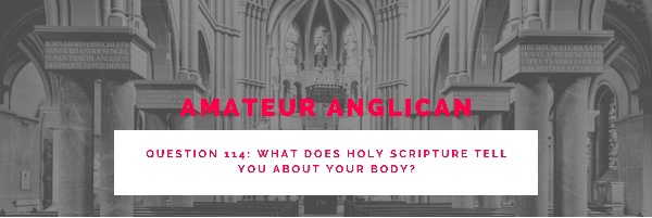 E105 Q114 What does Holy Scripture tell you about your body?