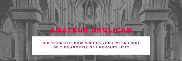E111 Q120 How should you live in light of this promise of unending&nbsp;life?