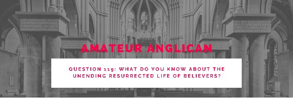 E110 Q119 What do you know about the unending resurrected life of believers?