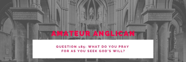 E178 Q185 What do you pray for as you seek God’s will