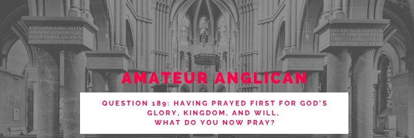 E182 Q189 Having prayed first for God’s glory, kingdom, and will, what do you now&nbsp;pray?