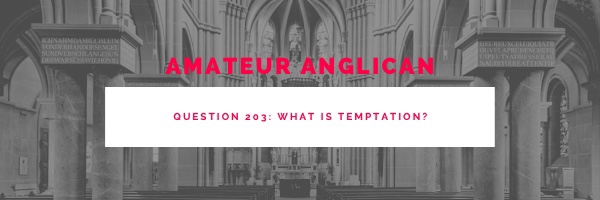 E196 Q203 What is&nbsp;temptation?