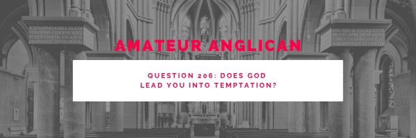 E199 Q206 Does God lead you into temptation?